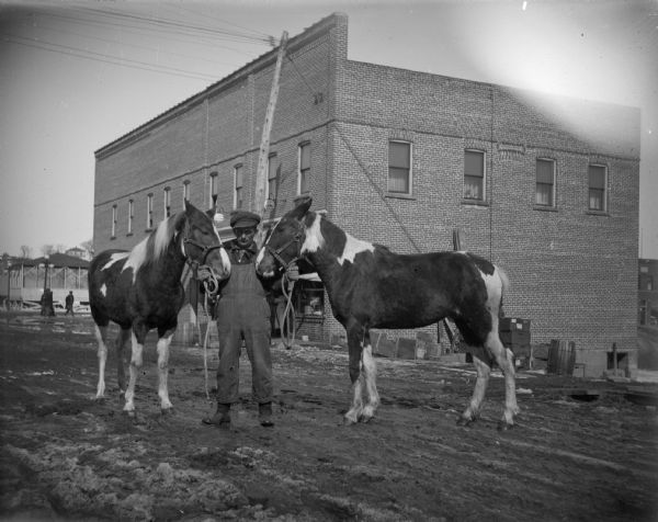 Man posing on unpaved street with two spotted horses. A large brick building is in the background.