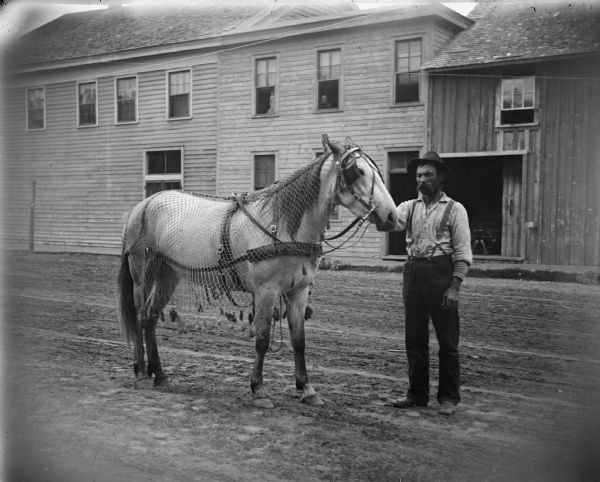 Man posing with a horse decked in netting (flynet). There are buildings in the background.