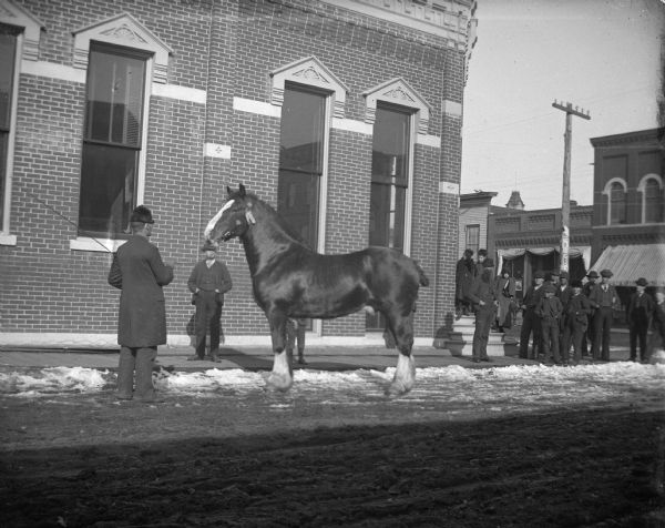 Men congregate on a street corner to examine a horse, in front of the Jackson County Bank. A man is standing in the street on the left just in front of the horse.