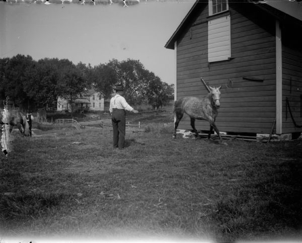 Man training a horse on a rope line in a farmyard.