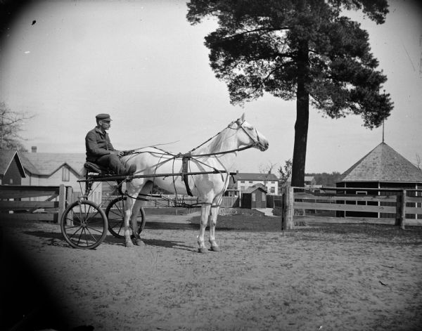 Man in a sulky. The harnessing indicates that the horse is a pacer. The sulky is the type with pneumatic tires and ball bearings.