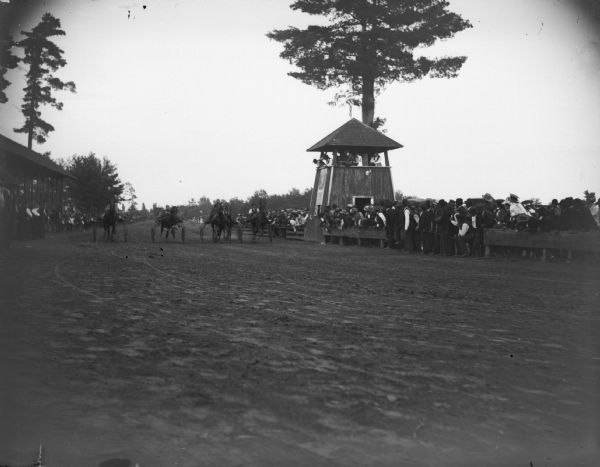 Sulky drivers and horses racing toward the finish line at the racetrack. The judges booth is in the center in front of a tall tree. A large crowd surrounds the booth.