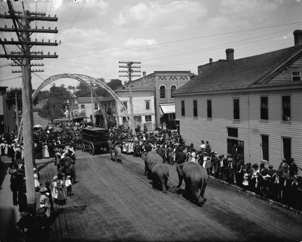 Crowd watching elephants walk trunk-to-tail in circus parade through town.