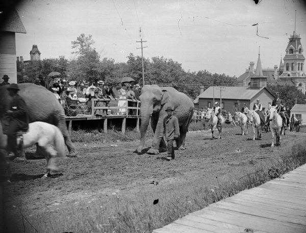 Several elephants walk up a hill in a circus parade along Main Street.  They are followed by a group of horses, while bystanders watch from a platform on the side of the road.