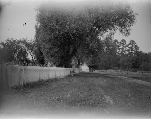 View down side of wooden picket fence in a residential section of town. There is a wooden bench against the fence, and stalks of corn can be seen just over the top of the fence. There is a house in the background behind tress. On the right, fences are along a field.