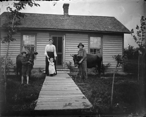 Two boys, each with a cow, posing in front of a house and standing on the lawn framing a woman and young child standing on a board sidewalk.