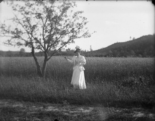 Woman standing in a field holding the branch of a tree.