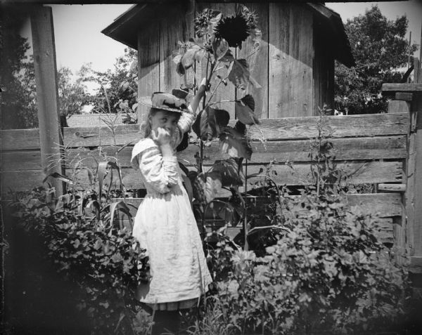 Girl posed standing holding the stem of a sunflower.