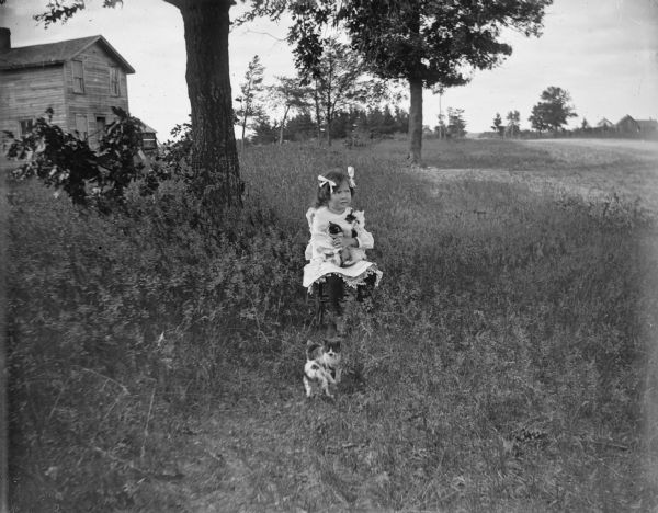 Girl posed sitting in a field playing with four kittens.