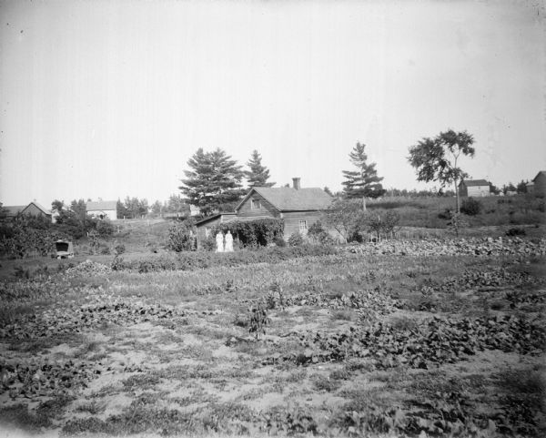 Two women stand in the distance overlooking a garden on a farm.
