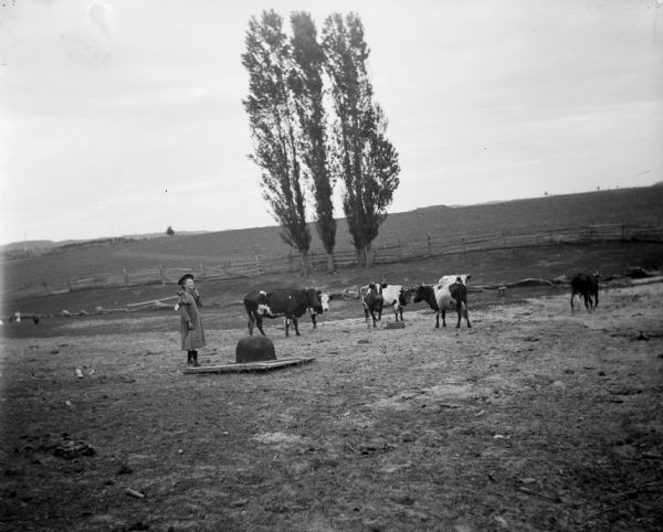 A young girl stands in a field watching cows.