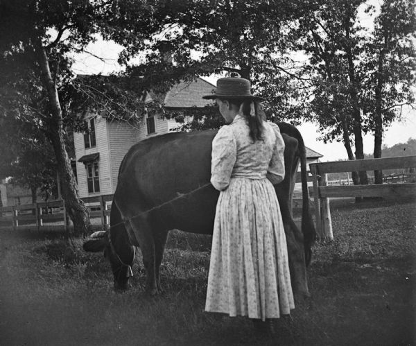 A girl holds a cow by a rope as it grazes. In the background, a large, two-story house is visible.