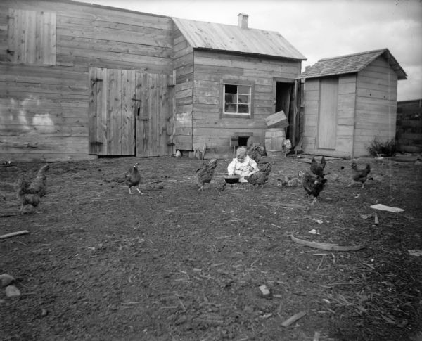 A small child sits amongst the chickens, with his/her hand in the feeding dish.