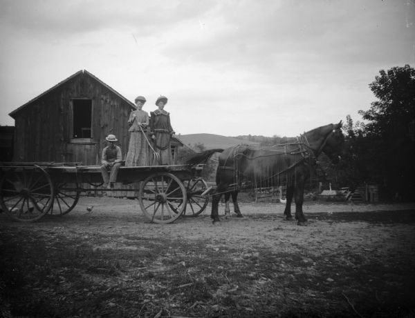 Two farm women stand atop a wagon pulled by a horse wearing a fly net. In addition to the two women standing, there is also a man sitting on the wagon.