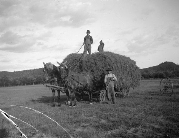 Two men stand atop a hay wagon, one holding the reins of a two-horse team wearing fly-nets and one presumably holding a pitchfork. Another man stands on the ground next to the wagon, holding a pitchfork.