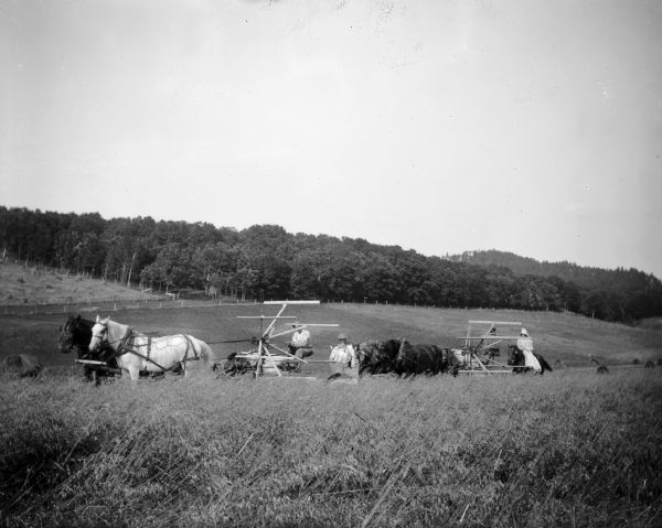Two teams of horses pull two self-binders through a field. The self-binder came into use after the reaper, both of which were superceded by the combine.