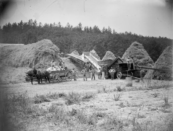 Numerous farmers participate in the threshing of grain. Left is the straw stack, center is the threshing machine and wagon to haul it to the granary, and right the grain is threshed into conical stacks. The conical stacks are bundles of grain as reaped by the self-binder and set up in shocks with the grain ends toward the center and the butt ends toward outside to shed rain. In threshing the farmers "changed work." They had breakfast at home, while noon and evening meals were taken at the farm where the threshing was done. It was a point of pride for the farmers' wives to set the best possible table.
