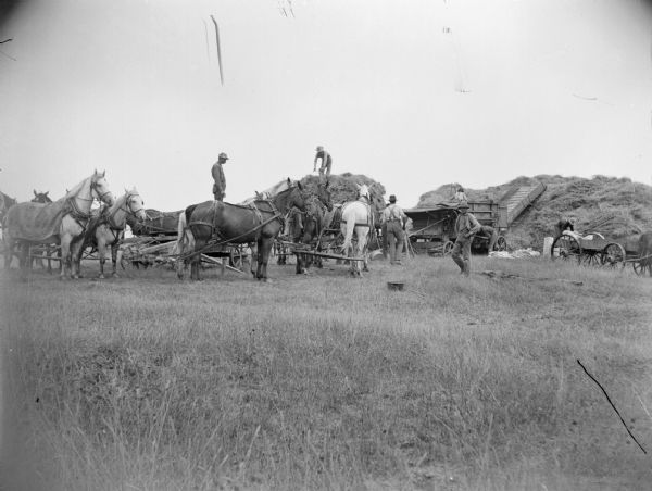 A crew of farmers work with threshing machinery and a team of horses.