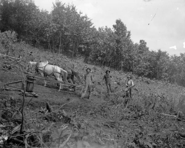 Three men working with a two-horse team on a hill turning a winch to extract stumps, probably a Svenson Grubber sold by J.H. Carnahan.	