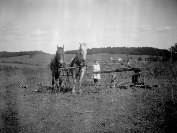 A girl stands with two horses turning a winch, probably a Svenson Grubber sold by J. H. Carnahan.	