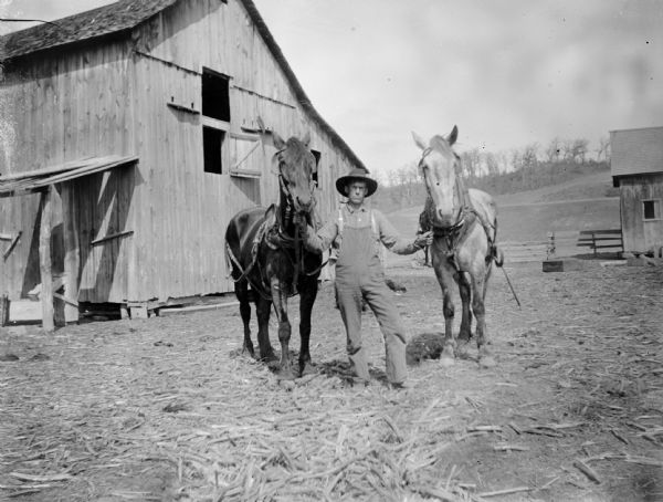 A farmer displays two horses in a farmyard.