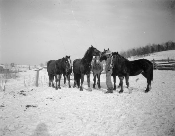 A man and six horses standing in a snow-covered field on a hill.