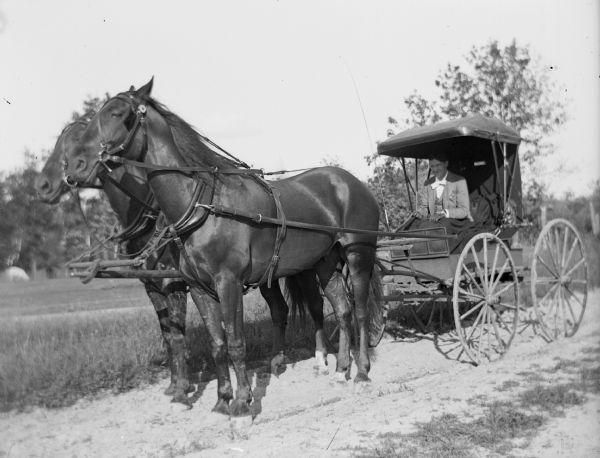 A young man sits in a covered buggy that is pulled by a team of two horses.