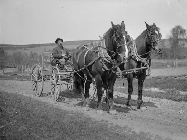 A man sits in a horse-drawn vehicle that is pulled by a two-horse team.