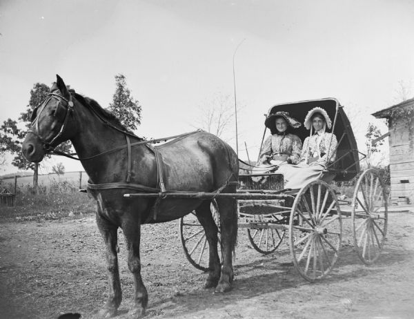Two fashionably dressed women sit in a buggy that is pulled by a horse. The corner of a building is in the background on the right.