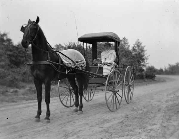 Woman Driving Carriage | Photograph | Wisconsin Historical Society