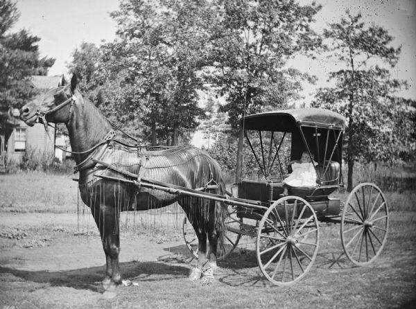 Baby Sitting in Buggy | Photograph | Wisconsin Historical Society