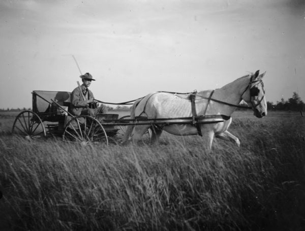 A man with a shotgun and whip sits in a buggy pulled by a single horse in a field, possibly looking for prairie chickens.	