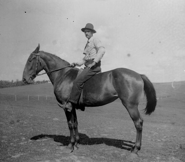 A man poses on a horse in a field.