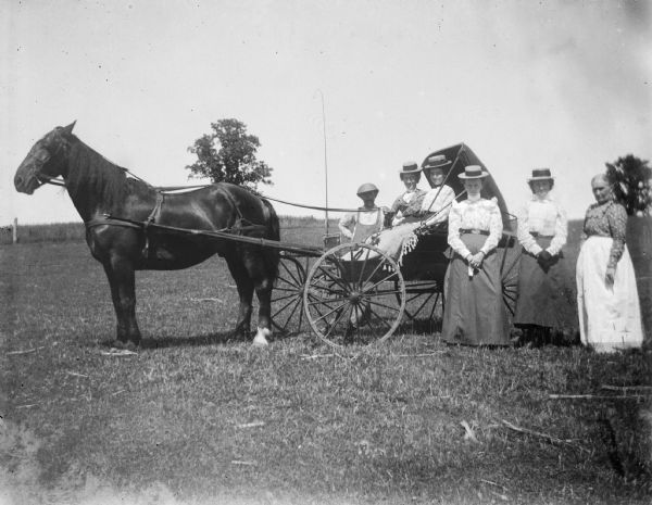 Five women, two seated in a carriage hitched to a horse and three on foot pose in a field with a farmer.