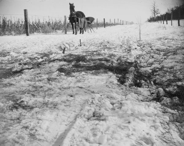 A horse stands hitched to an empty egg-shell cutter on a snowy country road.