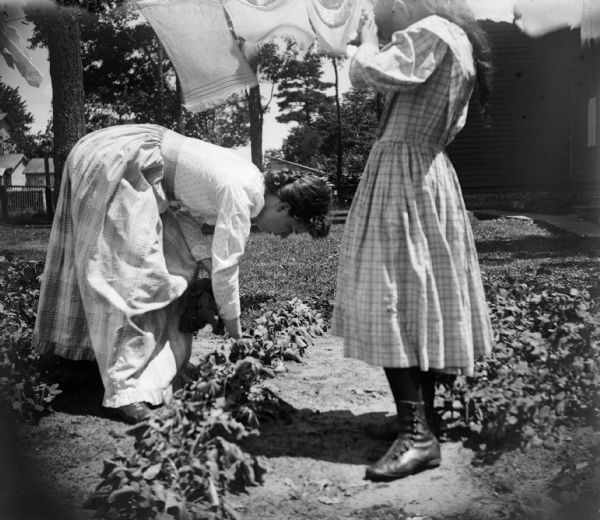 Two women work in a garden. One of the women is picking vegetables, while the other woman hangs laundry.