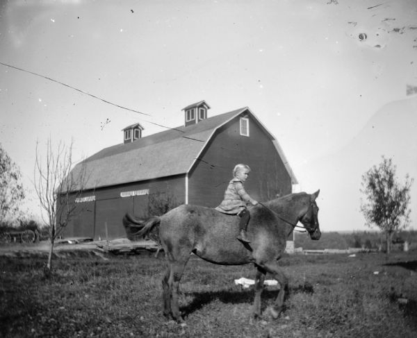 A child rides a horse without a saddle on a farm.