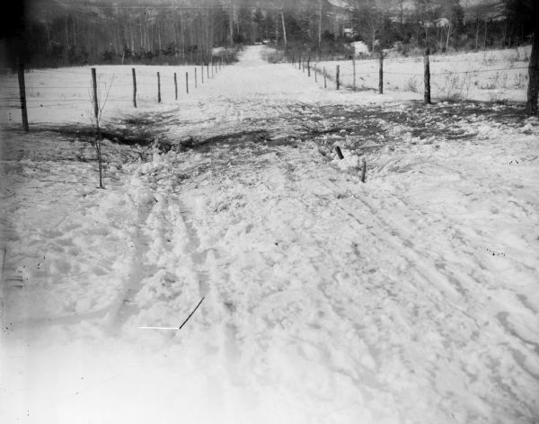 View down a rutted, snowy road leading to the woods.