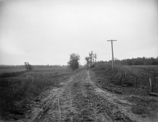 Muddy country road that is lined with telephone or power poles.