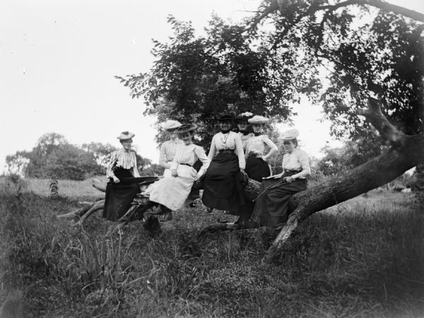 Seven women sit on a fallen tree in a field.