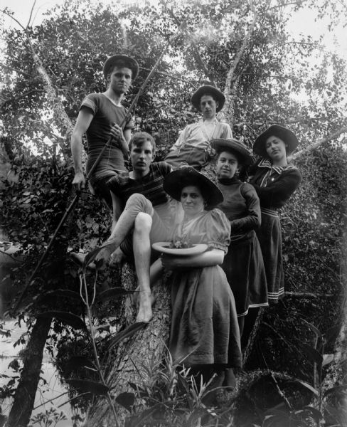 Three men and three women outfitted for swimming and fishing pose in a tree by a river. The man on the upper left is probably N.S. Samdahl, and the man below him with the striped shirt is possibly Frank Cooper. Woman on the far right is probably Catherine Cole, with a Spaulding niece next to her in the straw hat.