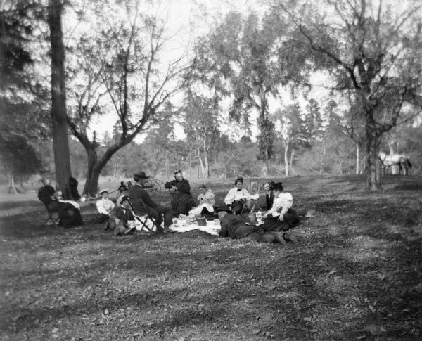 A group of men and women gather to have a picnic.