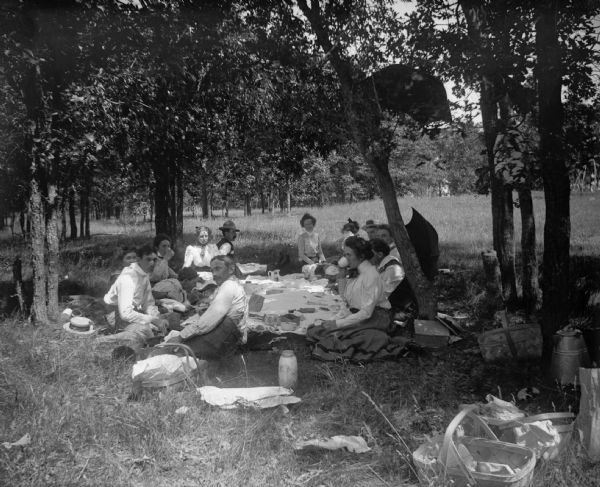 A group of individuals sit on the edge of a clearing and gather for a picnic.