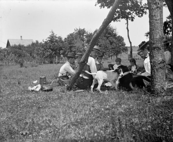 A group of individuals gather for a picnic with two accompanying dogs.