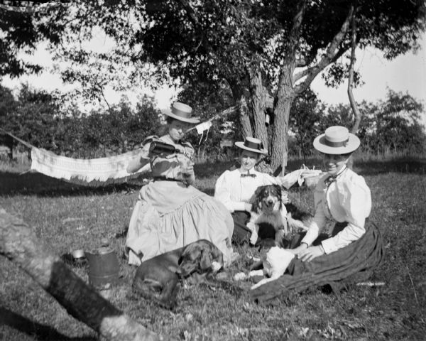 Three women and three dogs sit on the ground for a picnic.