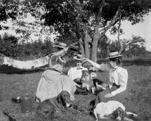 Three women and three dogs gather for a picnic.
