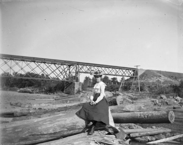 A woman sits among a group of logs on the shoreline of a river. In the background, a railroad bridge is visible.