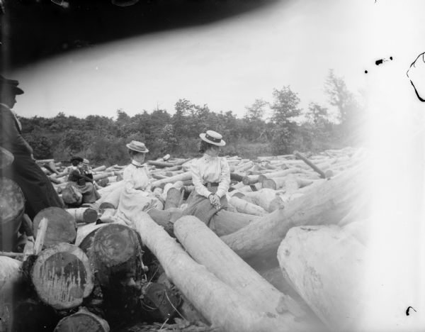 A group of men and women sit among a large number of logs.