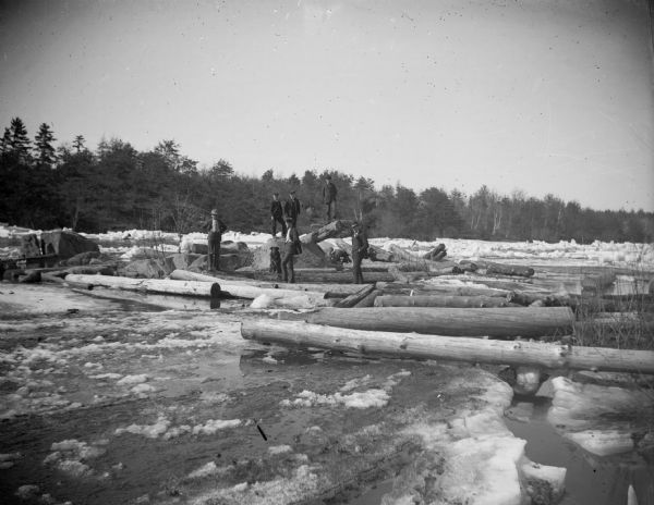 Six men and a dog stand among logs on a shoreline.