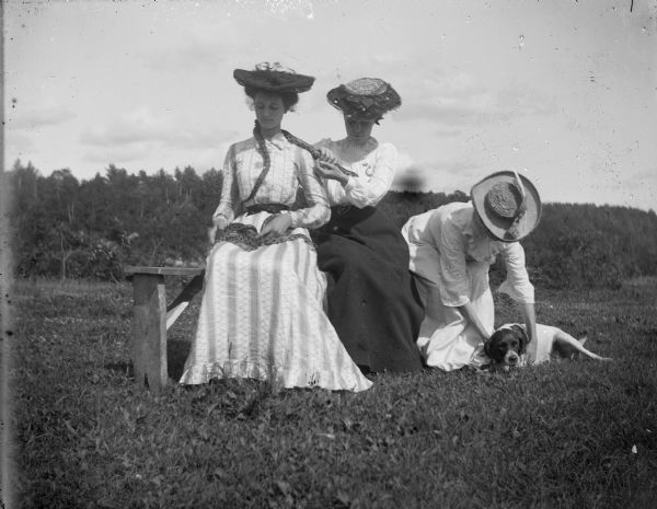 Three women sit on a bench, two of them holding Pine? snakes, while the other is in the process of picking up a dog.